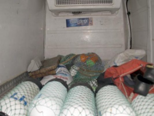 Peste 2,5 tone de rapană, confiscate în Portul Turistic Tomis